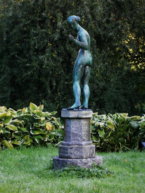 Crokus i Göteborg